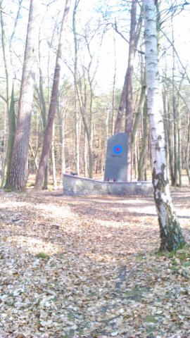 royalairforcedenkmalkaseburgerwald.jpg